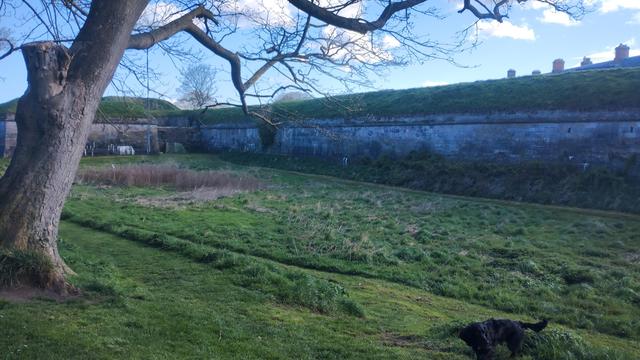 Walls of Berwick