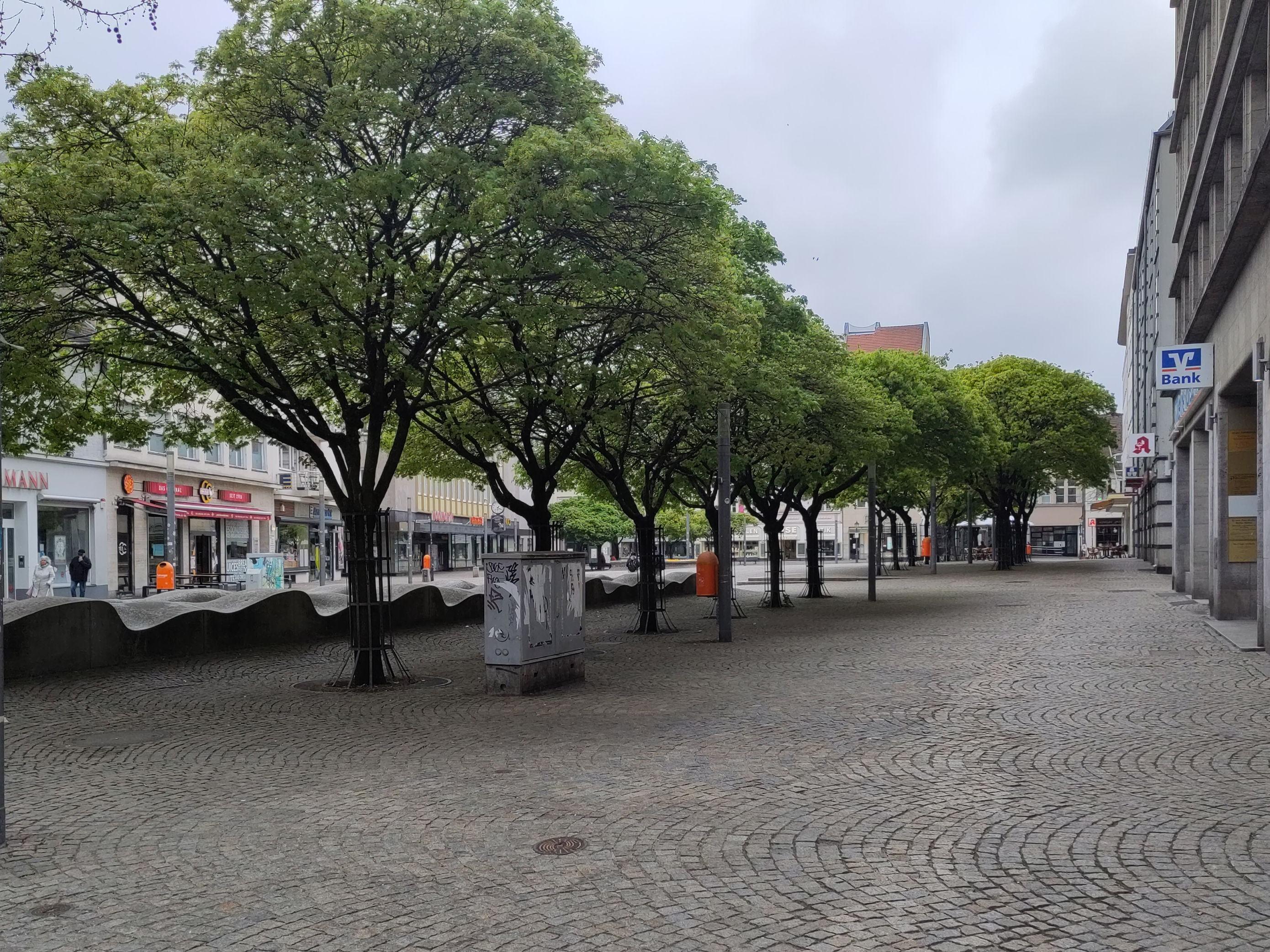 Blick auf die Spandauer Altstadt mit Baumreihe