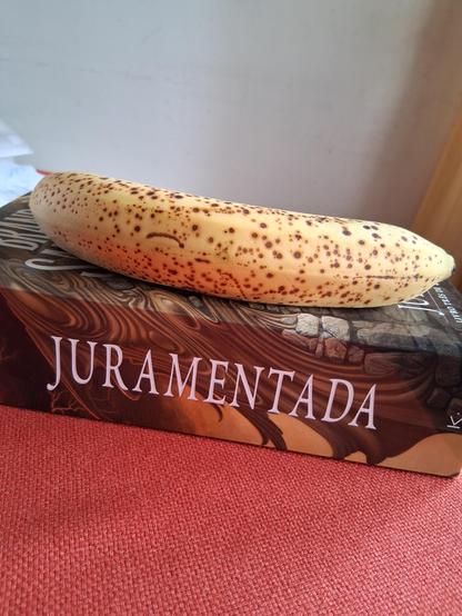 A large book reading "JURAMENTADA" in its spine is over a red cloth and under a banana for scale. Here, it's viewed from the side.