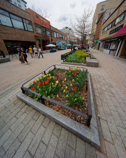 Distorted square flowerbed ringed with metal and stone with people walking behind in a small pedestrian mall in a canyon between buiildings