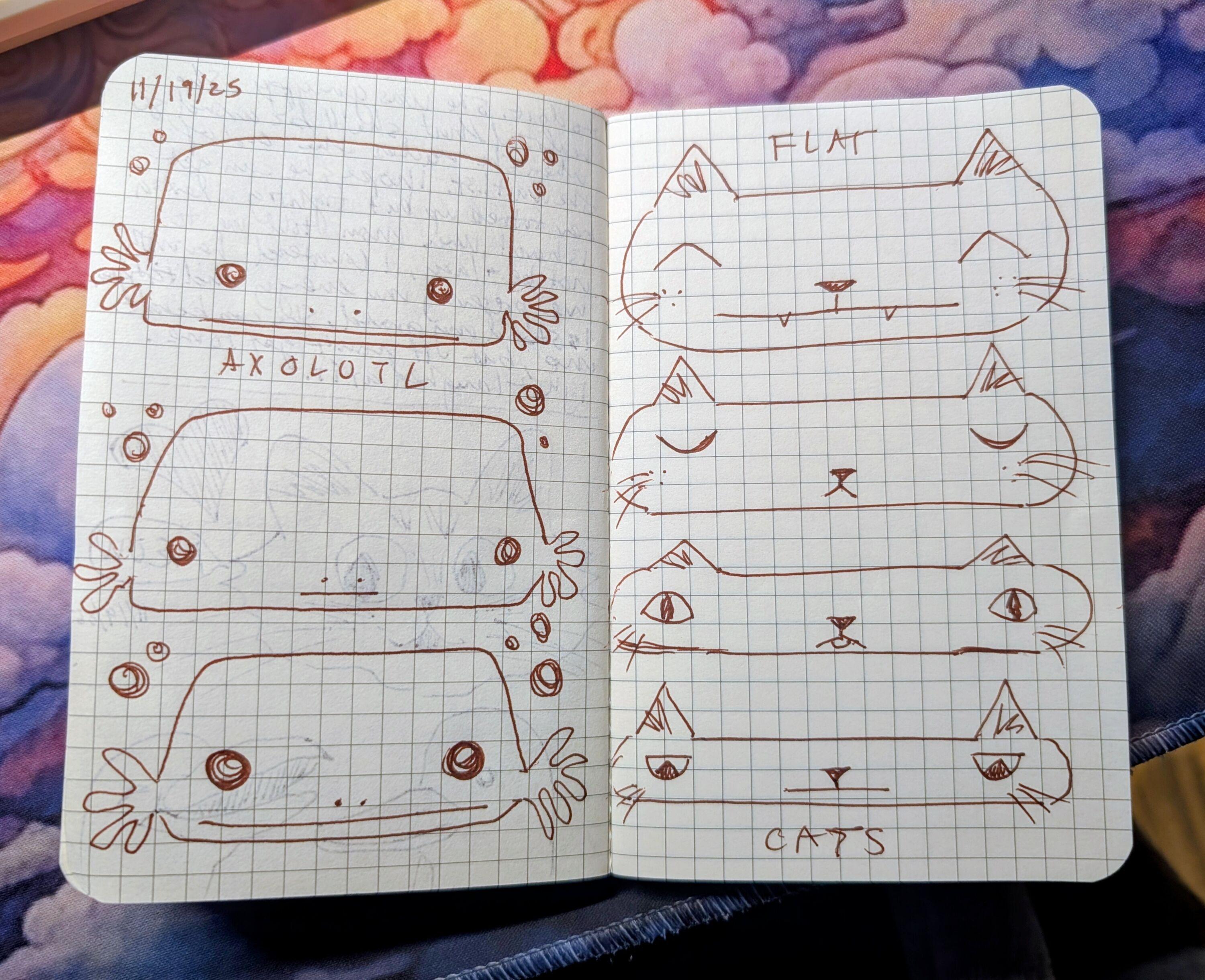 Photo of a small journal with graph paper and two pages of drawings in brown ink. At the top left is the date 11/19/25. The left page are 3 cartoonish drawings of axolotls with wide heads. At the right are drawings of 4 cats heads getting flatter and flatter and the text Flat Cats.