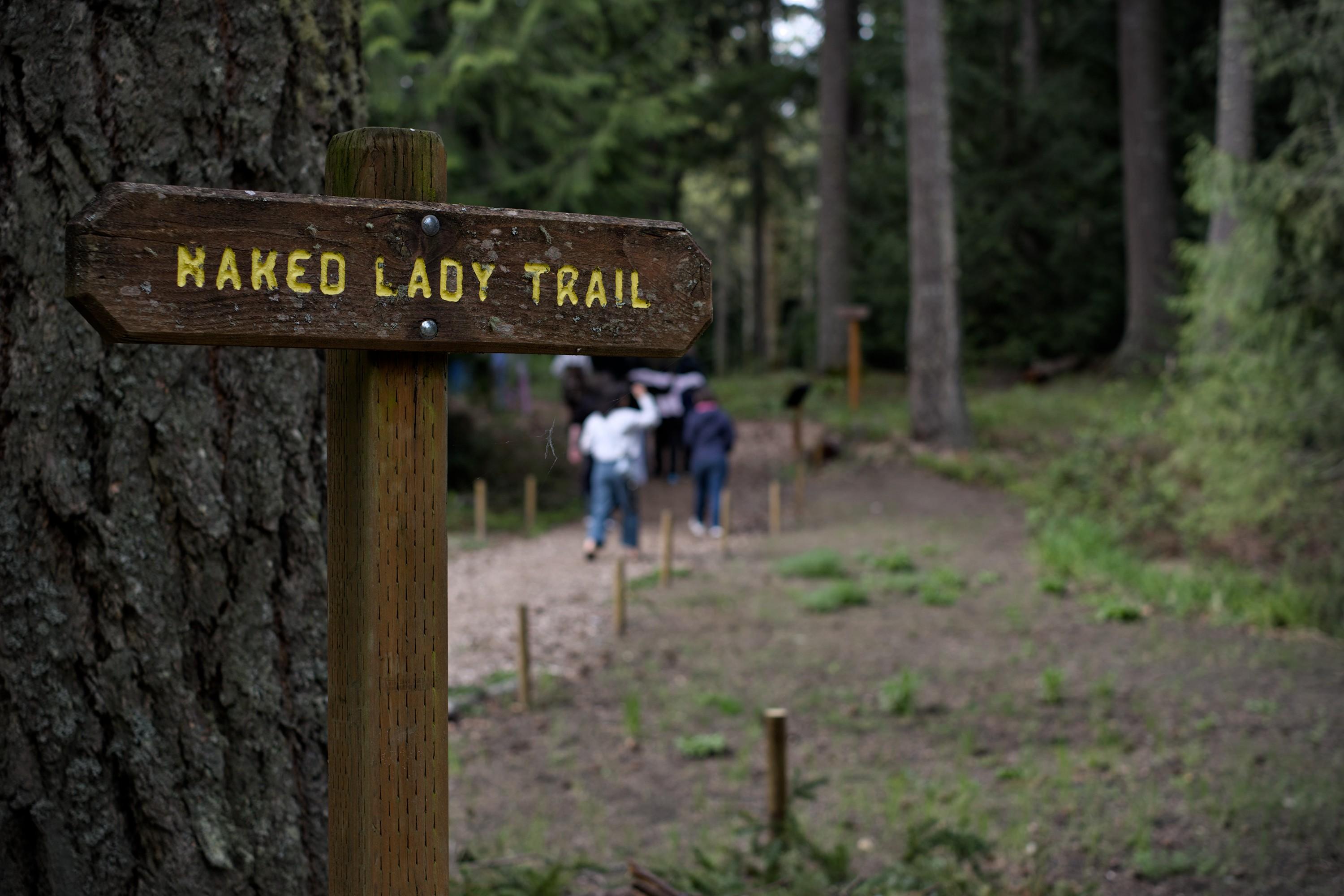 A carved wooden sign in a local park saying "Naked lady trail".