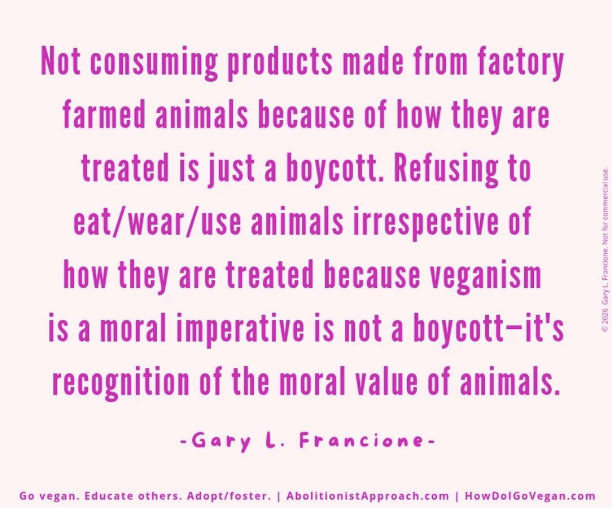 Not consuming products made from factory farmed animals because of how they are treated is just a boycott. Refusing to eat/wear/use animals irrespective of how they are treated because veganism is a moral imperative is not a boycott-it's recognition of the moral value of animals. - Gary L. Francione- Go vegan. Educate others. Adopt/foster. | AbolitionistApproach.com | HowDolGoVegan.com -rancione. Not for commercia