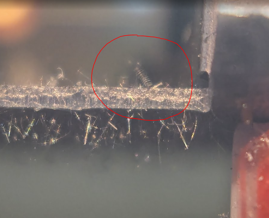 a bunch of tin whiskers, some of which have their own tin whiskers so they look like pipe cleaners