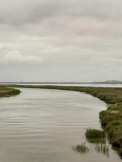 edge of the San Francisco Bay on a gray day