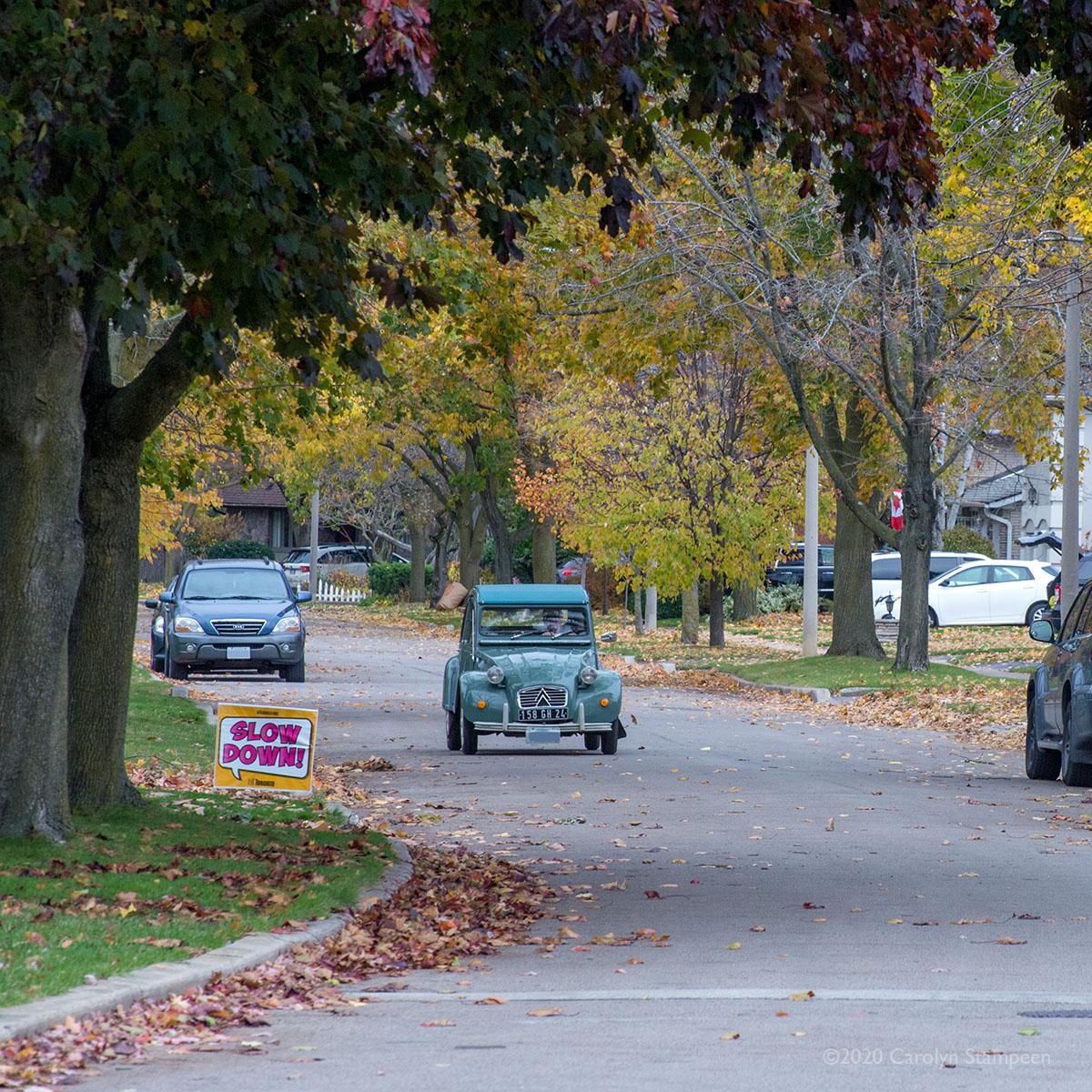 A tree-lined street in a quiet suburb.  The trees closest to us, to the left, and overhanging the street are still green, but the curb is lined with colourful leaves and beyond, we can see that other trees are yellow and orange.  Just beyond the close trees is a colourful sign that says, "Slow Down.:  In the road we see a very old green car coming towards us.