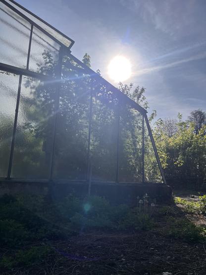 Ein altes Gewächshaus im Gegenlicht, das von der Natur zurückerobert wird