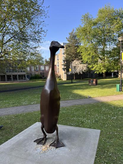 A bronze statue of York university’s unofficial mascot, Long Boi - a duck with a very long neck. He’s on stone plinth with seed offerings at his feet