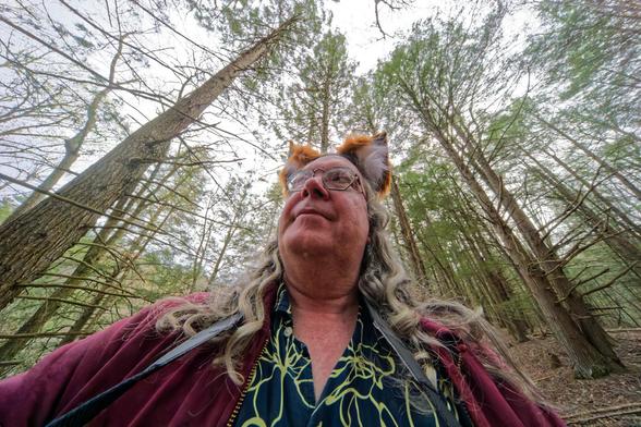 In a highly distorted photo a man with long grey hair and a dark blue shirt with a yellow line floral pattern and a maroon hoodie has a set of orange and white fox ears under a forest where trees seem to lean in to the center