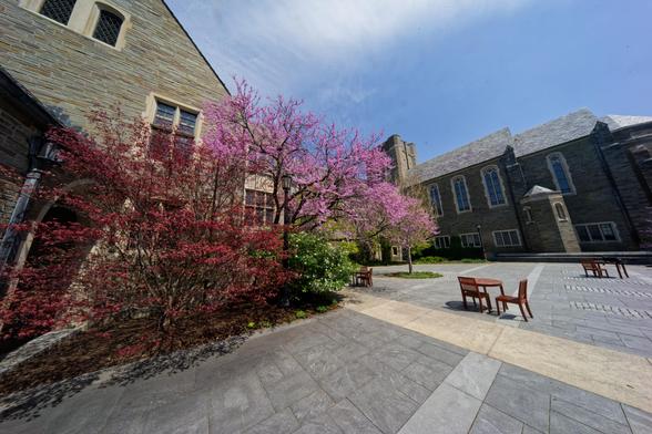 Two chairs are pulled up to a round table under a splendid purple tree in a stone courtyard