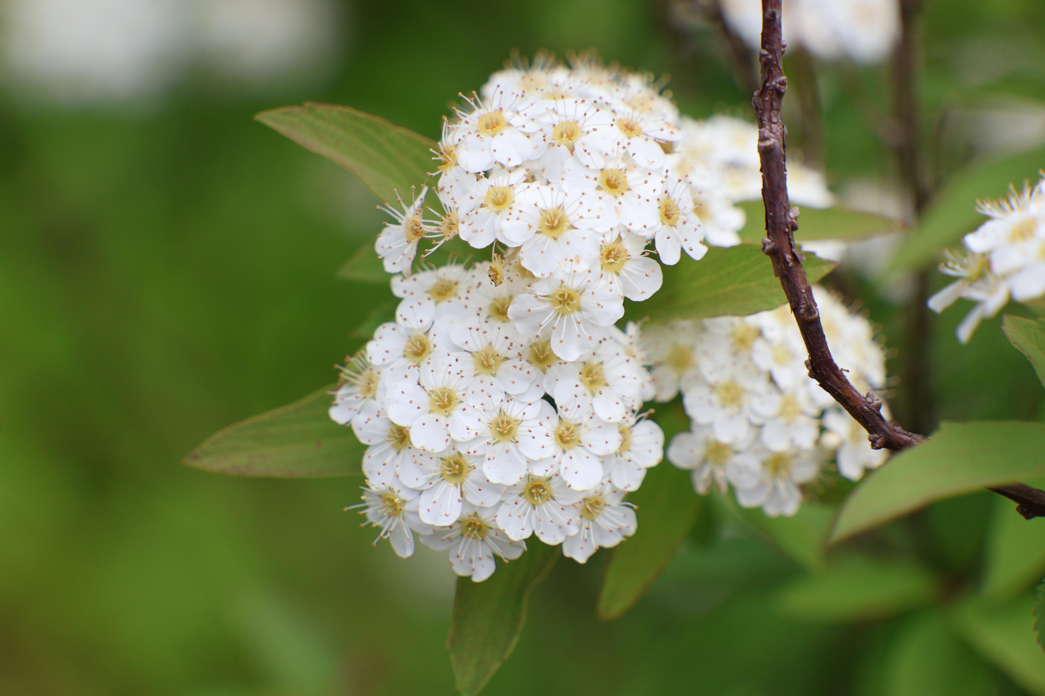(untitled)