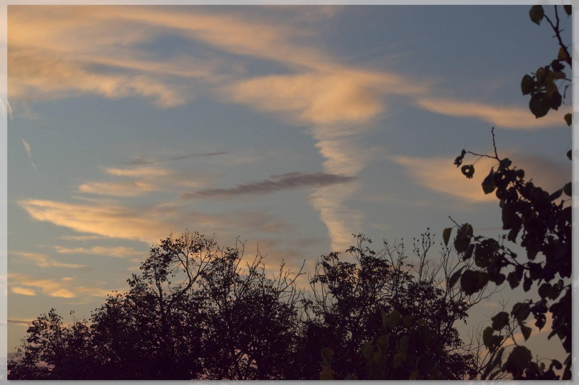 (untitled)