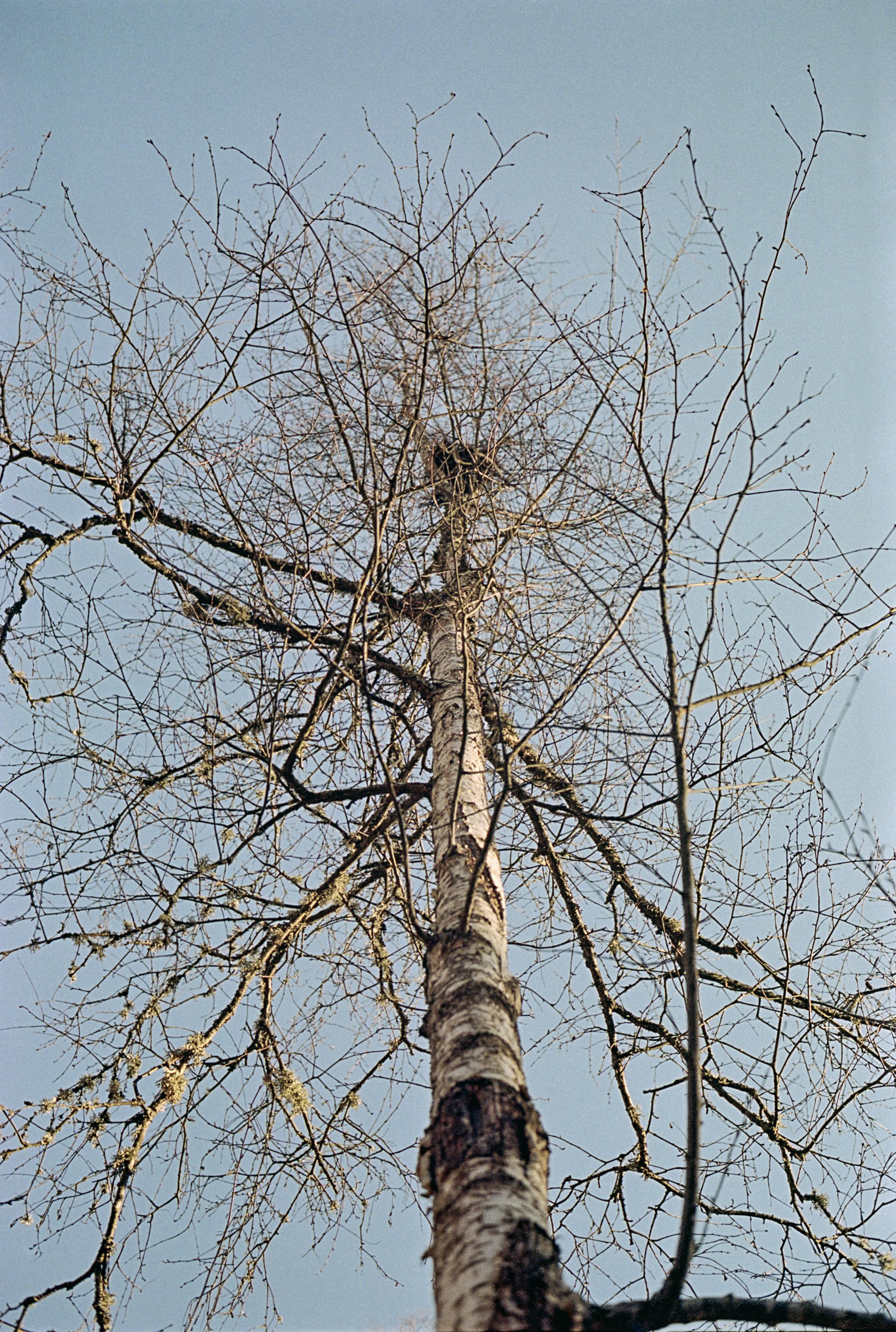 (untitled)