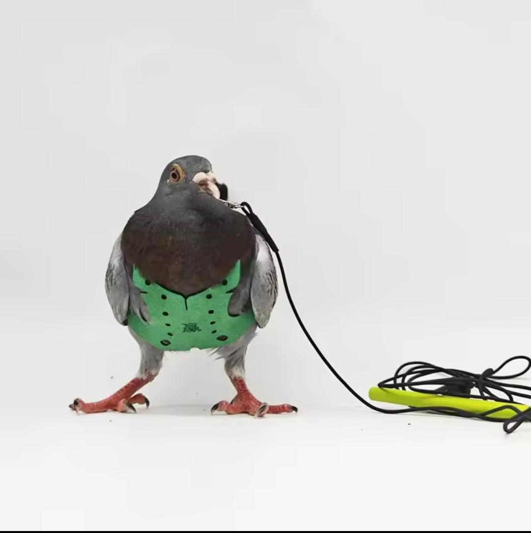 Posted media