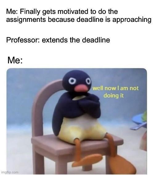A meme featuring black text on a white background above an image of a penguin. The text reads, "Me: Finally gets motivated to do the assignments because deadline is approaching", "Professor: extends the deadline", and "Me:". Below this, a penguin sits on a small, light-brown chair with its flippers folded across its chest. Yellow text is overlaid on the image of the penguin, reading, "well now I am not doing it". The background behind the penguin is out of focus and light-colored.