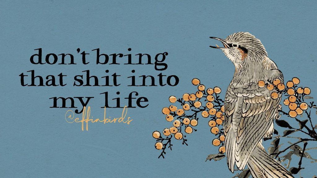 Effin' Birds (@effinbirds@mastodon.social)