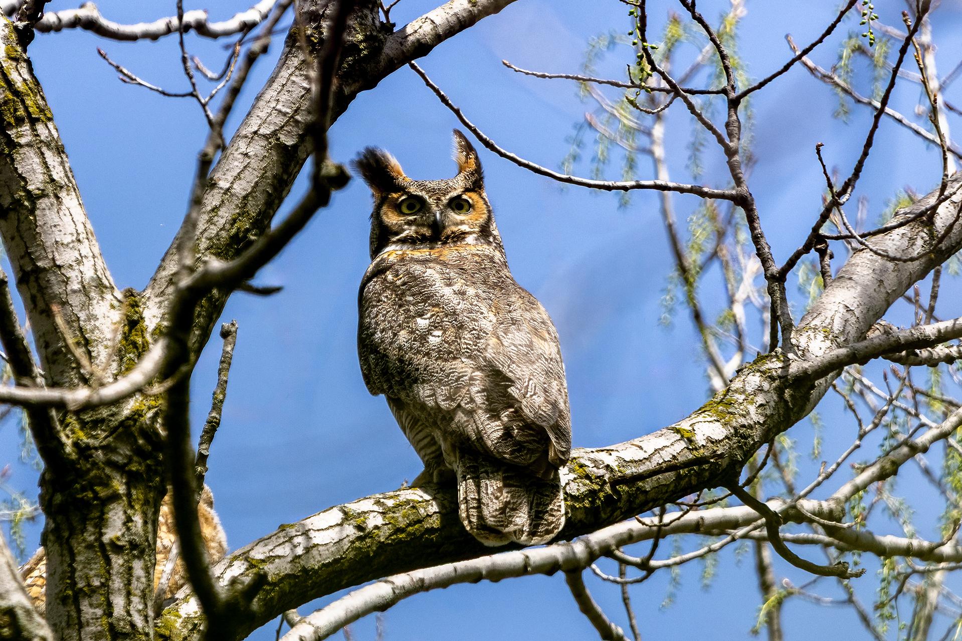 Posted media