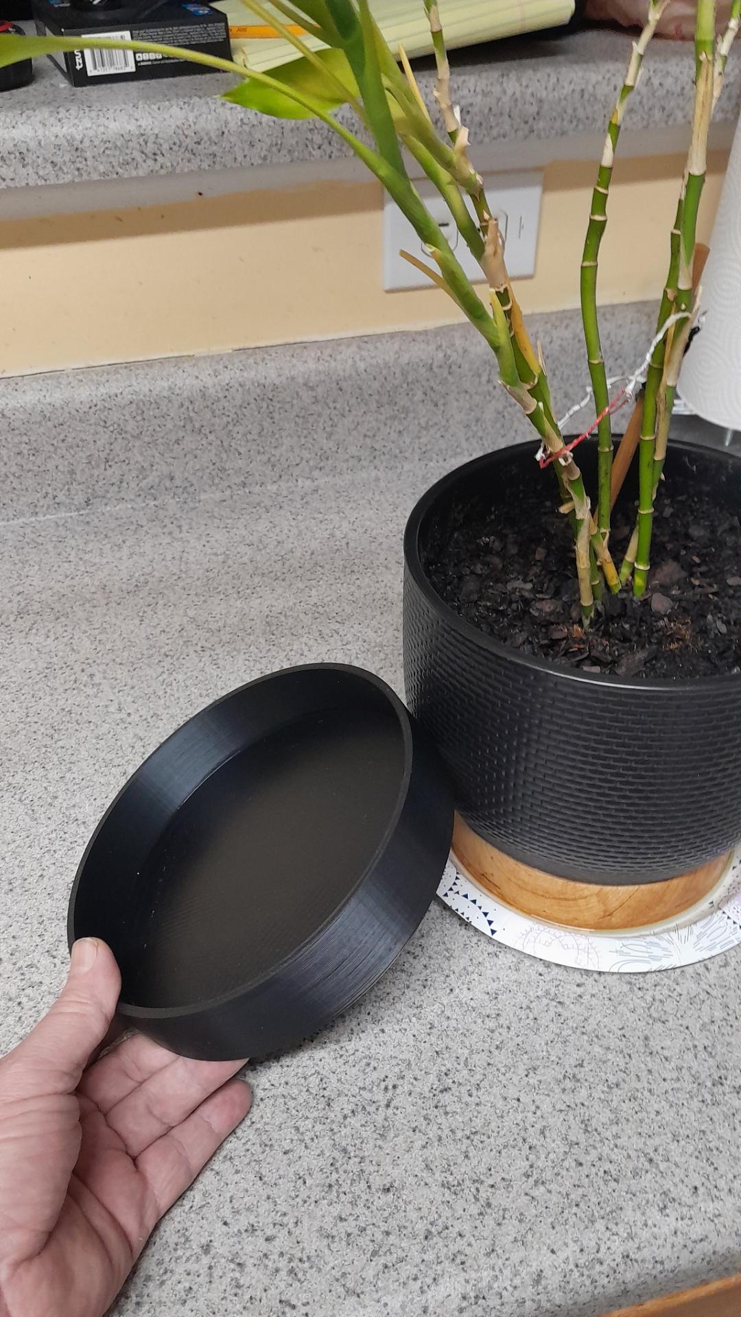 Plant in a black pot with wooden bottom on a paper plate with a hand holding a 3d printed disk with raised edges to left