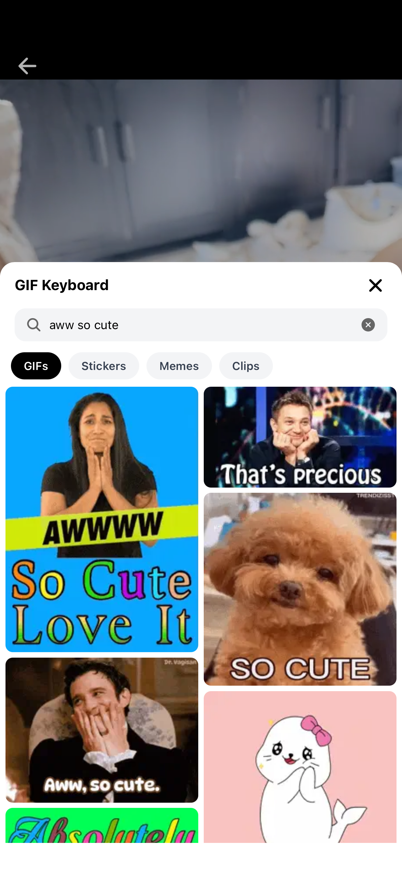 Loops GIF Keyboard feature on our mobile app