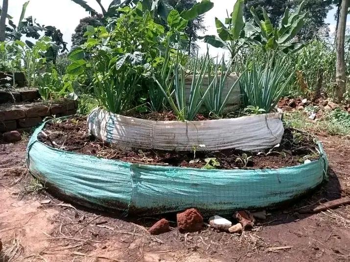 How the garden looked like