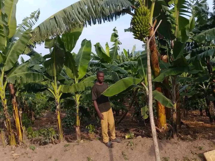 Me in the banana plantation