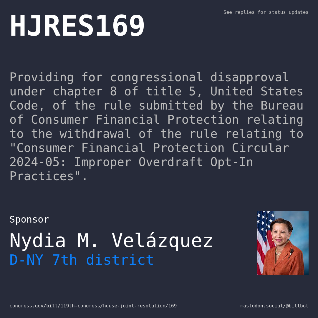 Description of HJRES169, and a depiction of its sponsor, Nydia M. Velázquez.