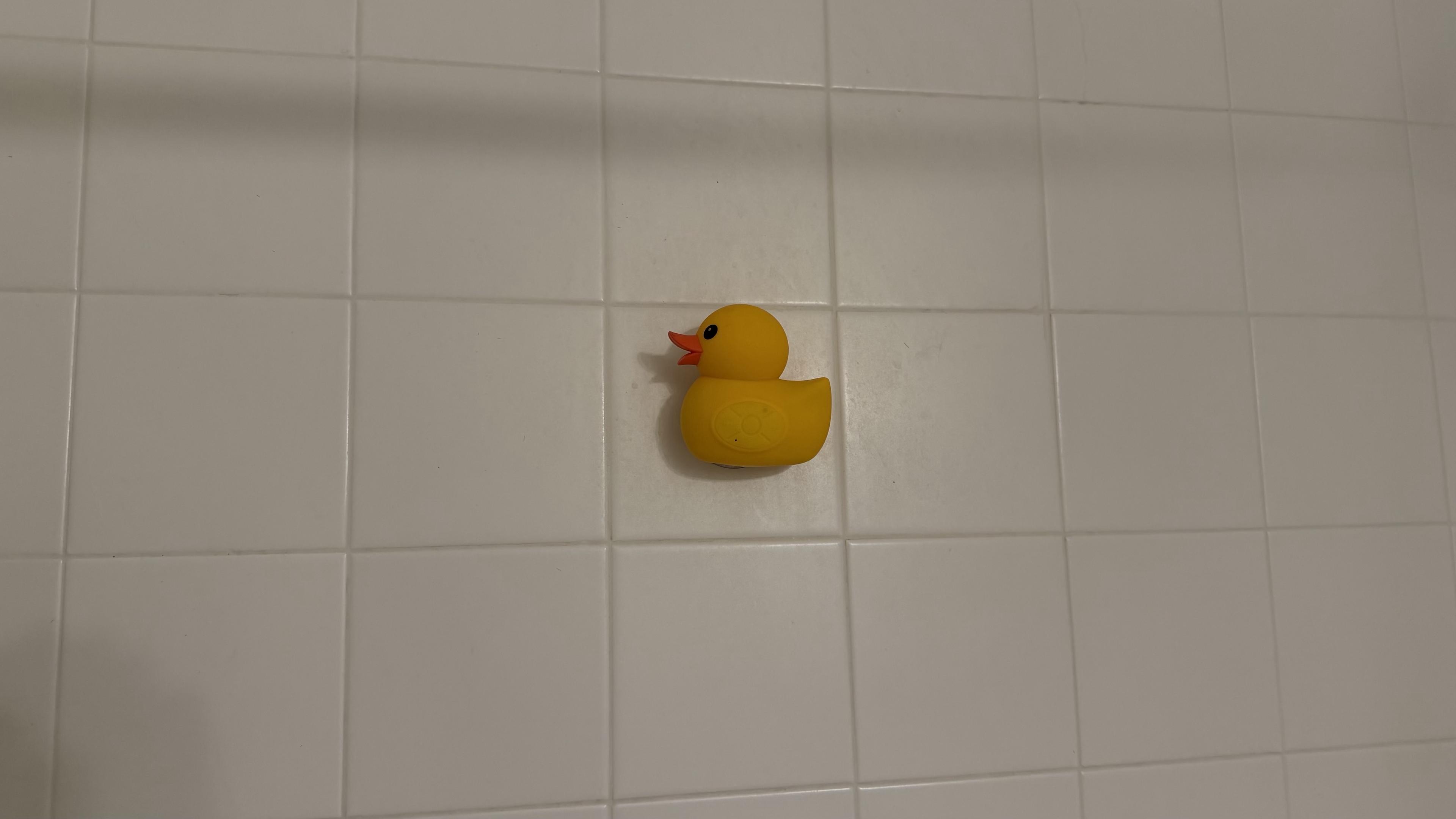 Picture of a yellow rubber duck on a shower wall