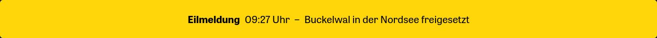 Eilmeldung: 9:35 Uhr - Buckelwal in der Nordsee freigesetzt