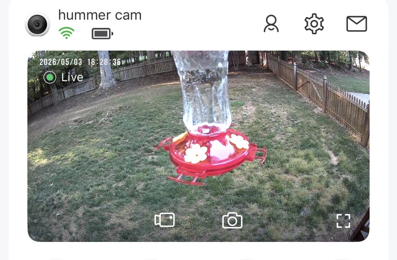Screenshot of a new live cam we set up to monitor the hummingbird feeder - called hummer cam.