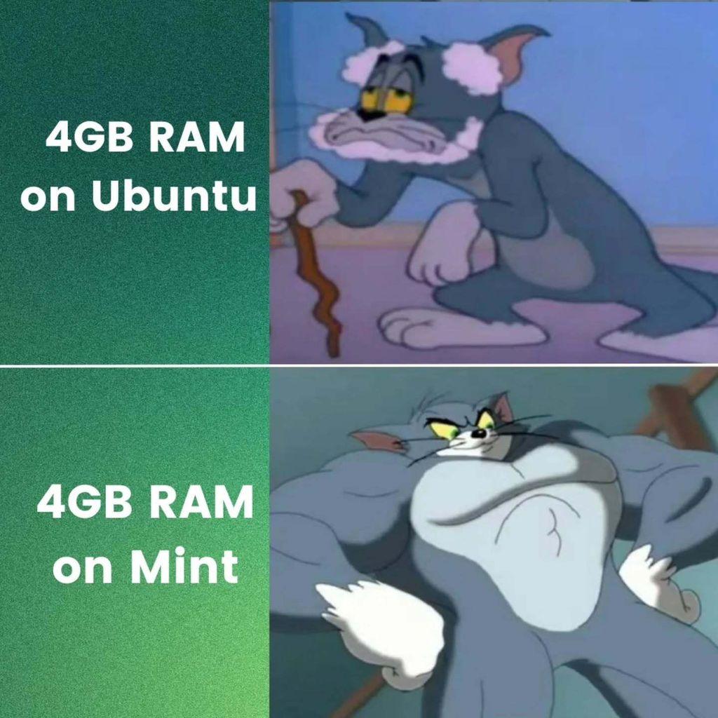 4GB RAM on Ubuntu: Picture of an old cat (Tom) using a cane to support himself.

4GB RAM on Linux Mint: Picture of a buff cat (also Tom) looking menacing.