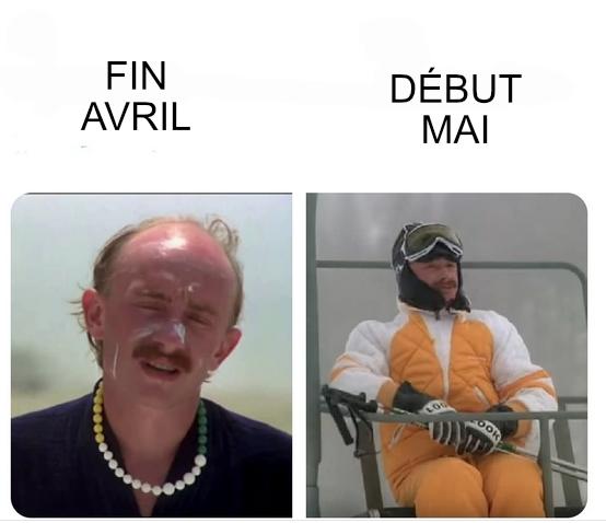 Posted media