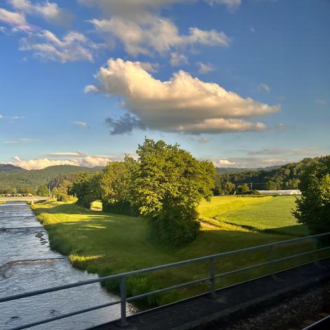 Eine Wolke, die so aussieht, als wäre sie ein Huhn, das über eine Baumreihe hüpft. Und Landschaft.