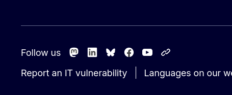 Link Preview Image