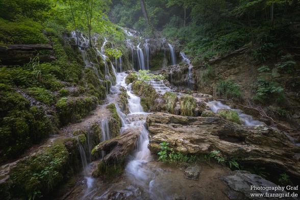This image captures a serene and enchanting forest scene, dominated by a cascading waterfall that winds its way through a lush, green landscape. The waterfall is the central focus, with multiple tiers of water flowing gently over moss-covered rocks and ledges, creating a sense of movement and tranquility. The water's path is framed by an abundance of greenery, including moss, ferns, and other vegetation, which adds texture and depth to the scene.

The surrounding forest is dense with trees and …
