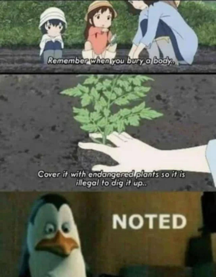 Posted media
