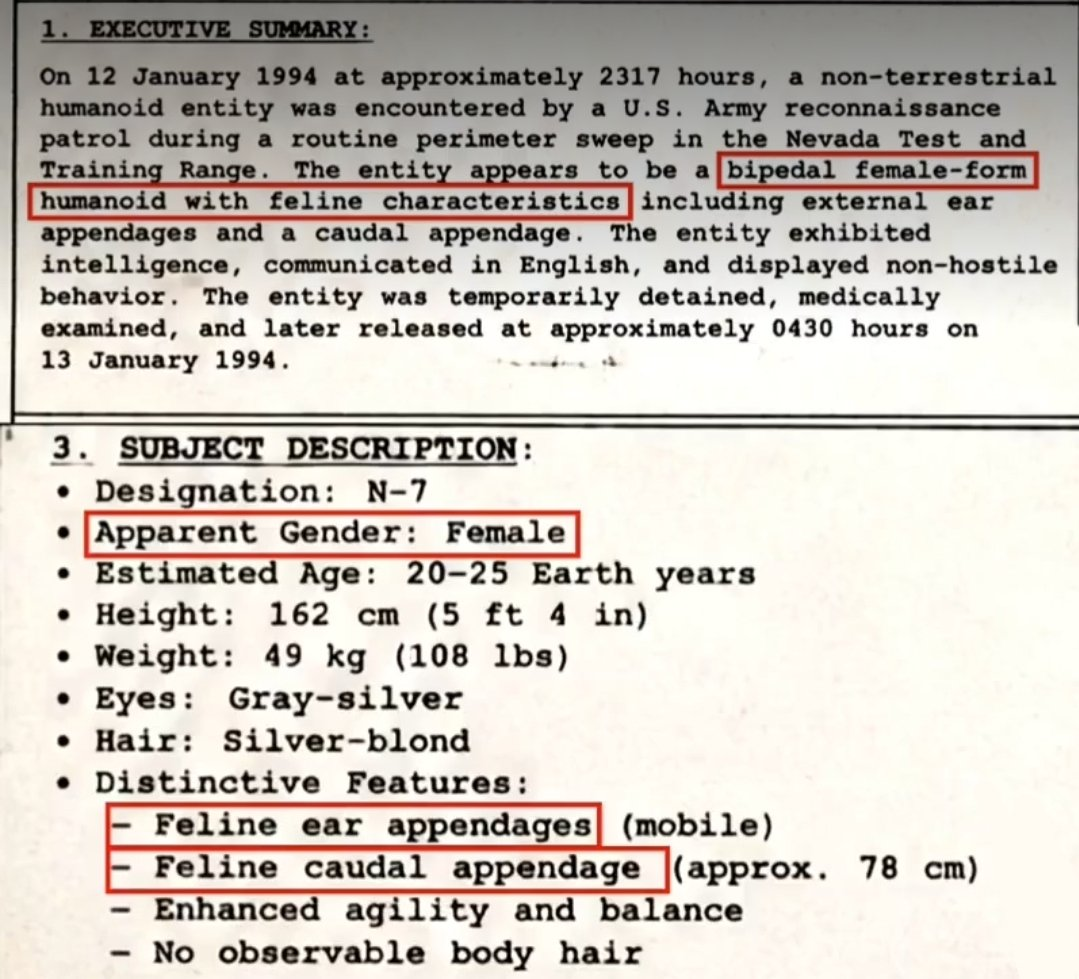 A screenshot of the recently released "UFO files", showing a typewritten document. Areas encased in square brackets have been digitally highlighted with red boxes in the image, clearly added onto the existing screenshot.

1. EXECUTIVE REPORT:
On 12 January 1994 at approximately 2317 hours, a non-terrestrial humanoid entity was encountered by U.S. Army reconnaissance patrol during a routine perimeter sweep in the Nevada Test and Training Range. The entity appears to be a [bipedal female-form humanoid with feline characteristics] including external ear appendages and a caudal appendage. The entity exhibited intelligence, communicated in English, and displayed non-hostile behavior. The entity was temporarily detained, medically examined, and later released at approximately 0430 hours on 13 January 1994.

----

3. SUBJECT DESCRIPTION:
* Designation: N-7
* Apparent Gender: Female
* Estimated Age: 20-25 Earth years
* Height: 162 cm (5 ft 4 in)
* Weight: 49 kg (108 lbs)
* Eyes: Gray-silver
* Hair: Silver-blond
* Distinctive Features:
- [Feline ear appendages] (mobile)
- [Feline caudal appendage] (approx. 78 cm)
- Enhanced agility and balance
- No observable body hair