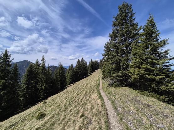 This image captures a breathtaking and expansive mountain landscape, showcasing the serene beauty of a high-altitude trail. The foreground features a narrow, well-defined dirt path that winds its way up a grassy hillside. The path is flanked by lush green grass and scattered wildflowers, adding a touch of color and natural charm to the scene.

On either side of the trail, tall evergreen trees stand sentinel, their dark green foliage creating a striking contrast against the lighter greens of the…
