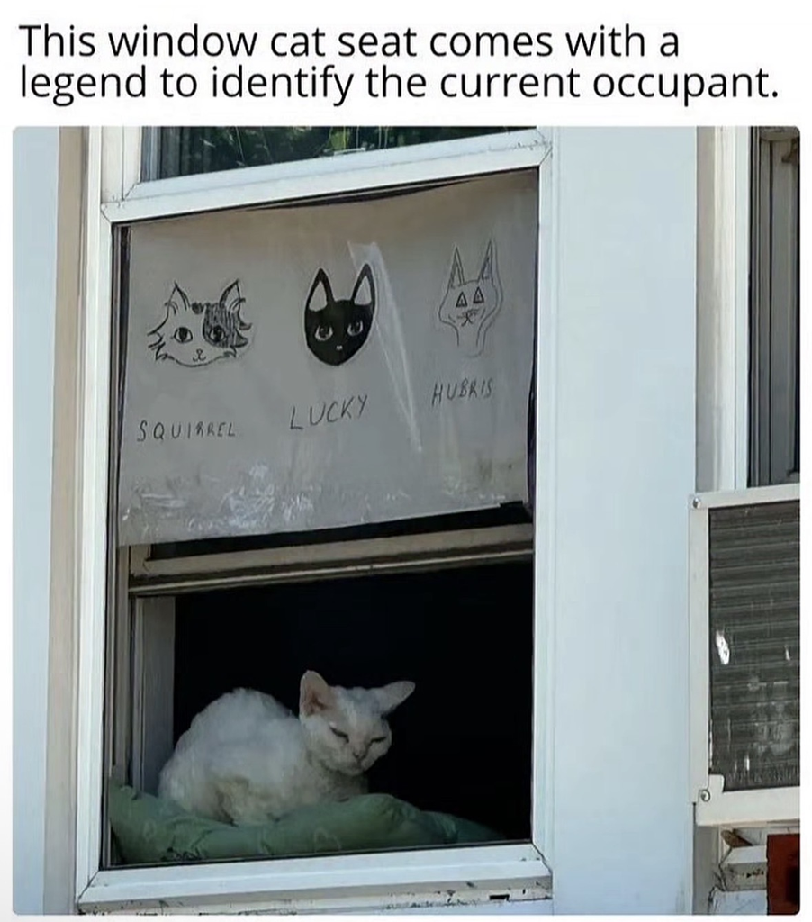 A white cat with short, curly fur sits on a green cushion in an open window. Above the cat, a handmade sign serves as a "legend" with three drawings of cat faces labeled "Squirrel," "Lucky," and "Hubris." The cat in the window appears to be Hubris.
