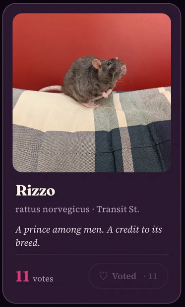 Rizzo the rat!!!