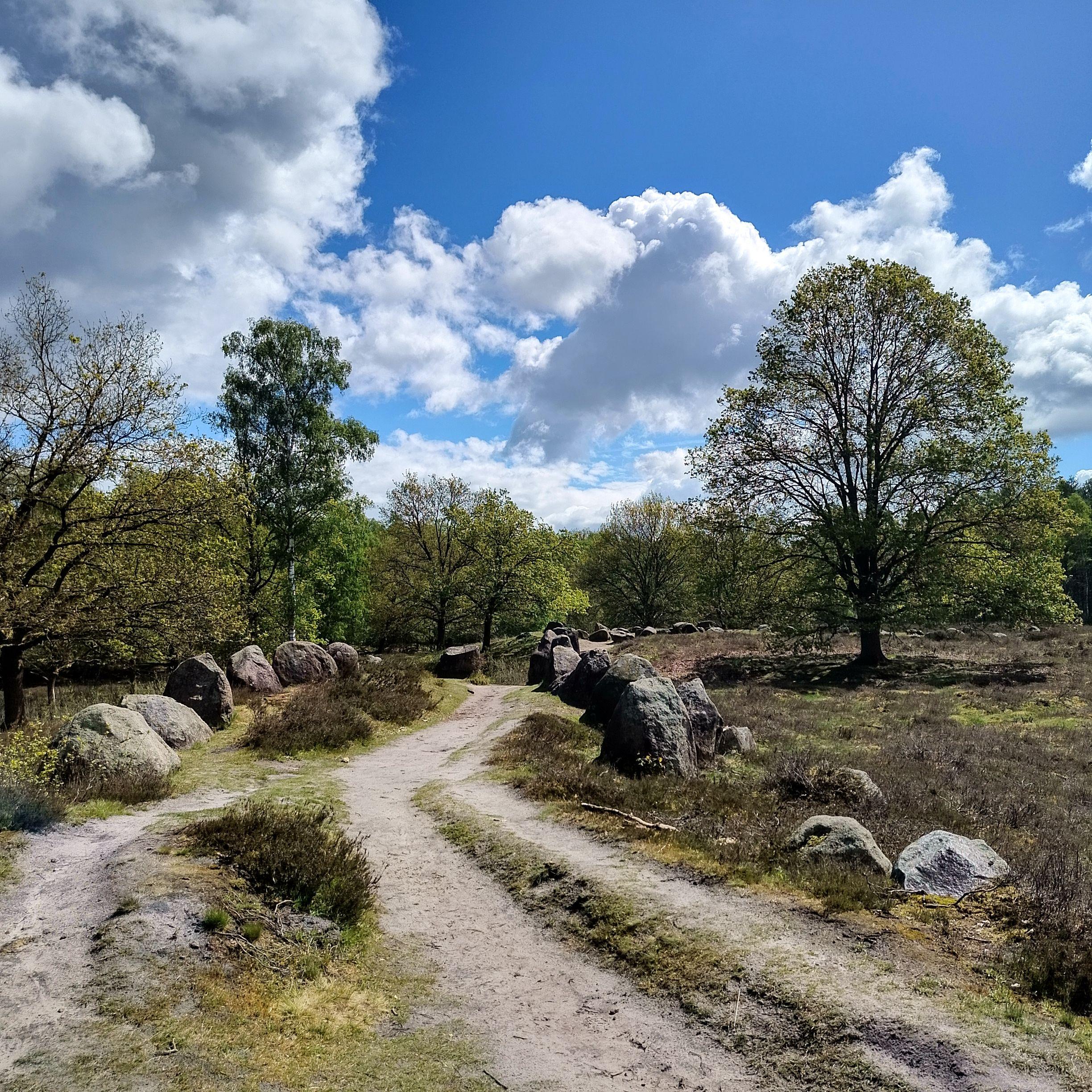 A landscape photograph shows a sandy path winding its way between large boulders. The unpaved, two-lane path is lined with grass and low vegetation. In the background, trees with green and yellowish foliage stand beneath a blue sky dotted with large, puffy white clouds.