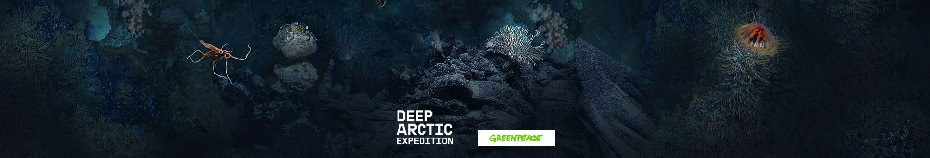 Deep Arctic Expedition
