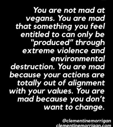 itsveganjim (@itsveganjim@mastodon.social)