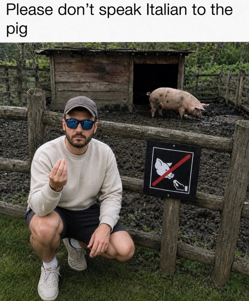 A man in a beige sweatshirt, dark shorts, sunglasses, and a grey baseball cap squats outdoors next to a wooden fence. He holds his hand up in the traditional Italian pinched-finger gesture. Attached to the fence is a square sign showing a pig's head and a pinched hand gesture crossed out with a red diagonal line. In the muddy enclosure behind the fence, a large pink spotted pig stands near a wooden shelter. Text at the top reads, "Please don't speak Italian to the pig."