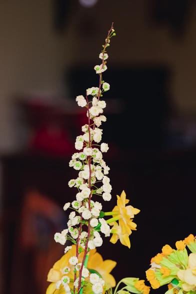 Sprig of little white flowers rises above daffodiles and other yellow flowers