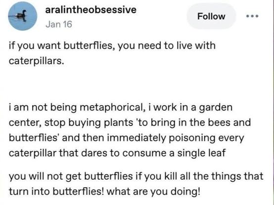 Social media screenshot saying 

If you want butterflies,  you need to live with caterpillars

I am not being metaphorical i work in a garden centre,  stop buying plants to bring on the bees and butterflies and then immediately poisoning every caterpillar that dares consume a single leaf

You will not get butterflies if you kill all the things that turn into butterflies what are you doing!