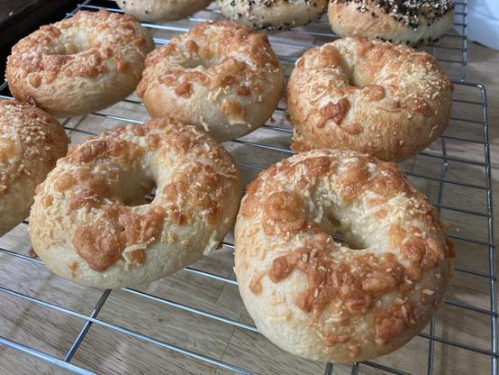 Home made bagels.