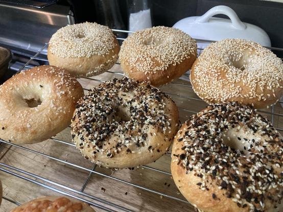 Home made bagels.