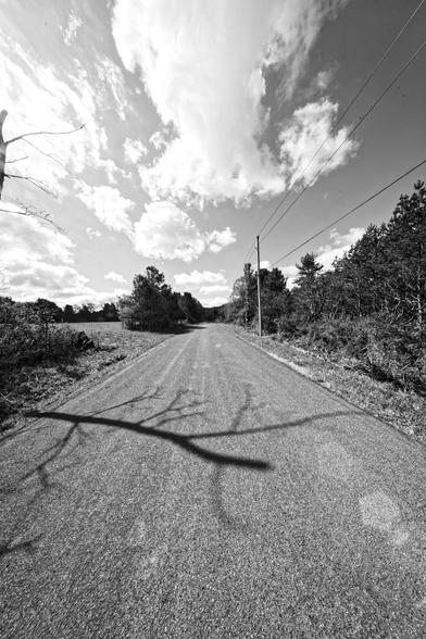 asphault road receeds from bottom to the exact center the image on the right power lines and evergreen shrubs maybe trees, above cumulus clouds (this is black and white!) and on the right a field can be seen in a gap in the trees and shrubs,  in the middle the shadow of a tree can be seen im the road,  there also are a few pentagons of brightness caused by the light of the sun bouncing around the wrong way inside the lens