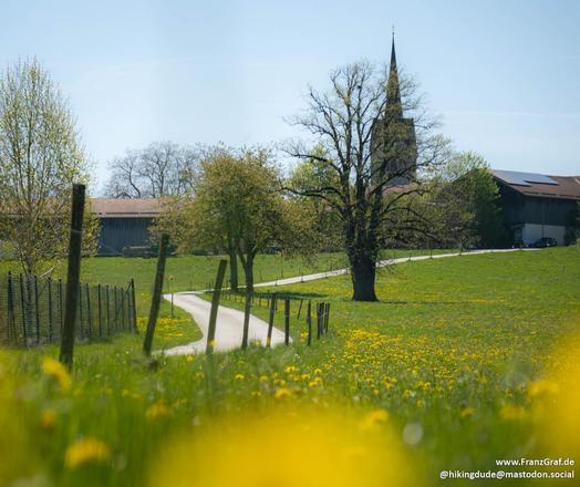 This image captures a serene and picturesque rural landscape, blending natural beauty with elements of traditional architecture. The foreground is dominated by a lush, green meadow dotted with vibrant yellow wildflowers, adding a splash of color and natural charm to the scene. The meadow stretches out, creating a sense of openness and tranquility.

A winding path or road cuts through the meadow, leading the viewer's eye deeper into the image. The path is bordered by a simple wire fence with woo…
