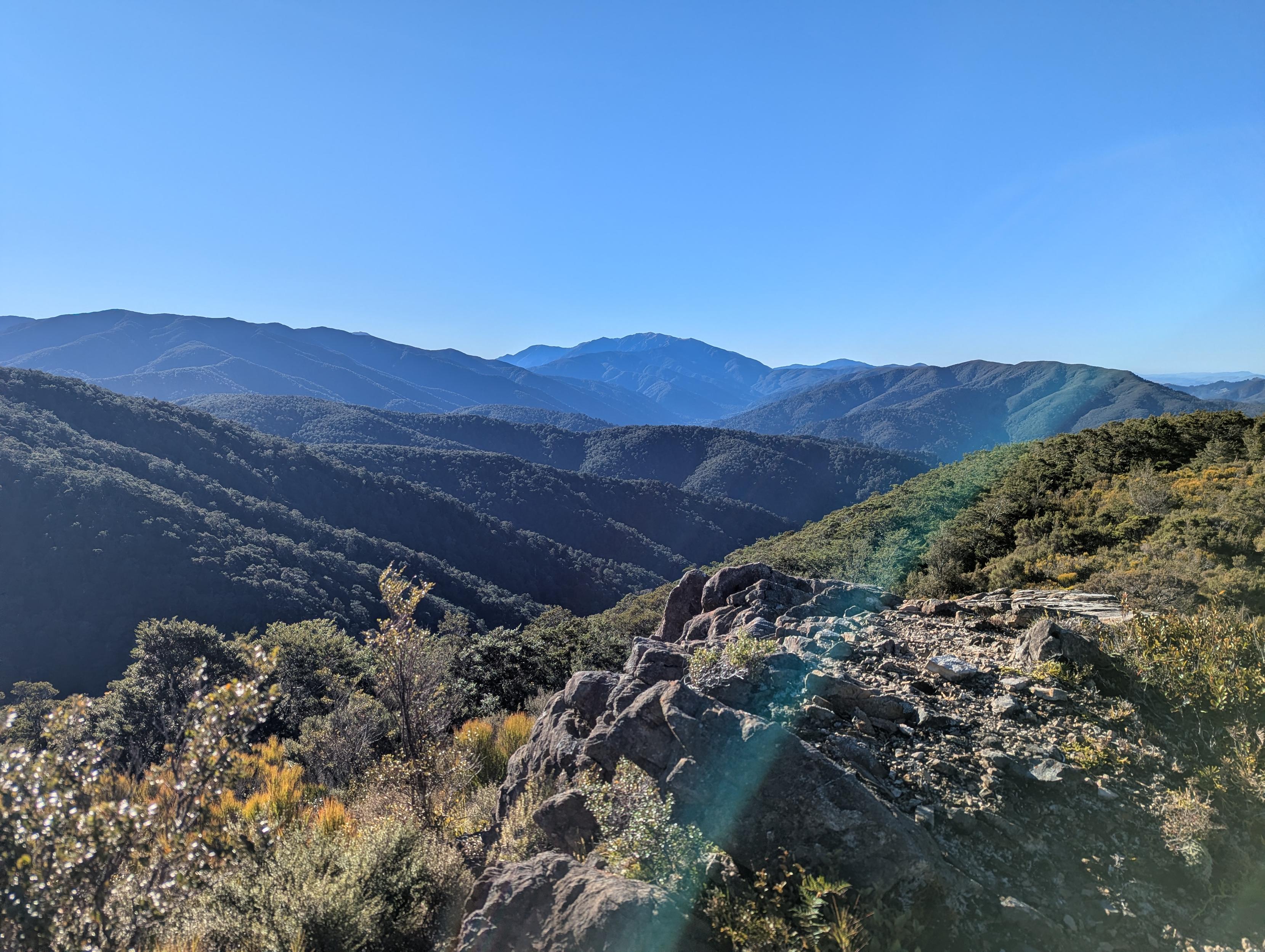 A view from up top, looking out over undulating rainforest. Sky blue and clear. Annoying lens grease rainbow.